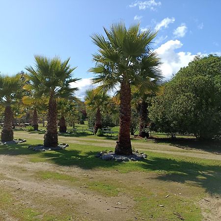 El Algarrobo אלגרובו מראה חיצוני תמונה