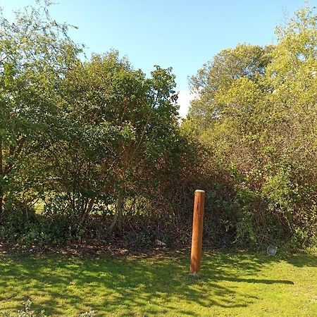 El Algarrobo אלגרובו מראה חיצוני תמונה