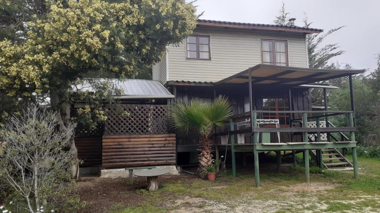 El Algarrobo אלגרובו מראה חיצוני תמונה