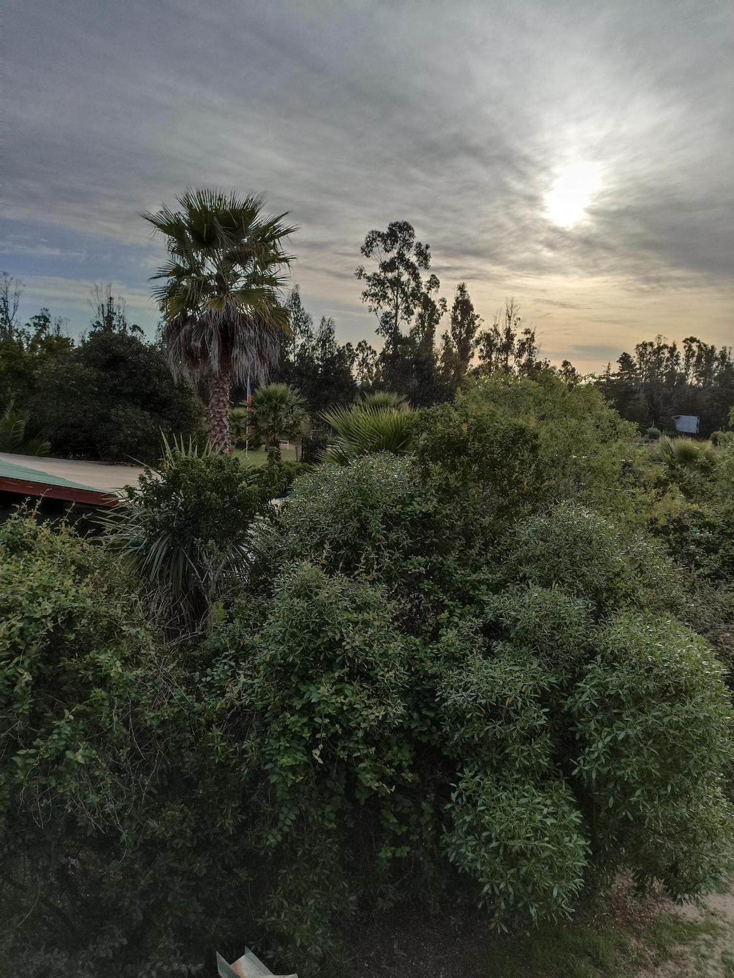 El Algarrobo אלגרובו מראה חיצוני תמונה