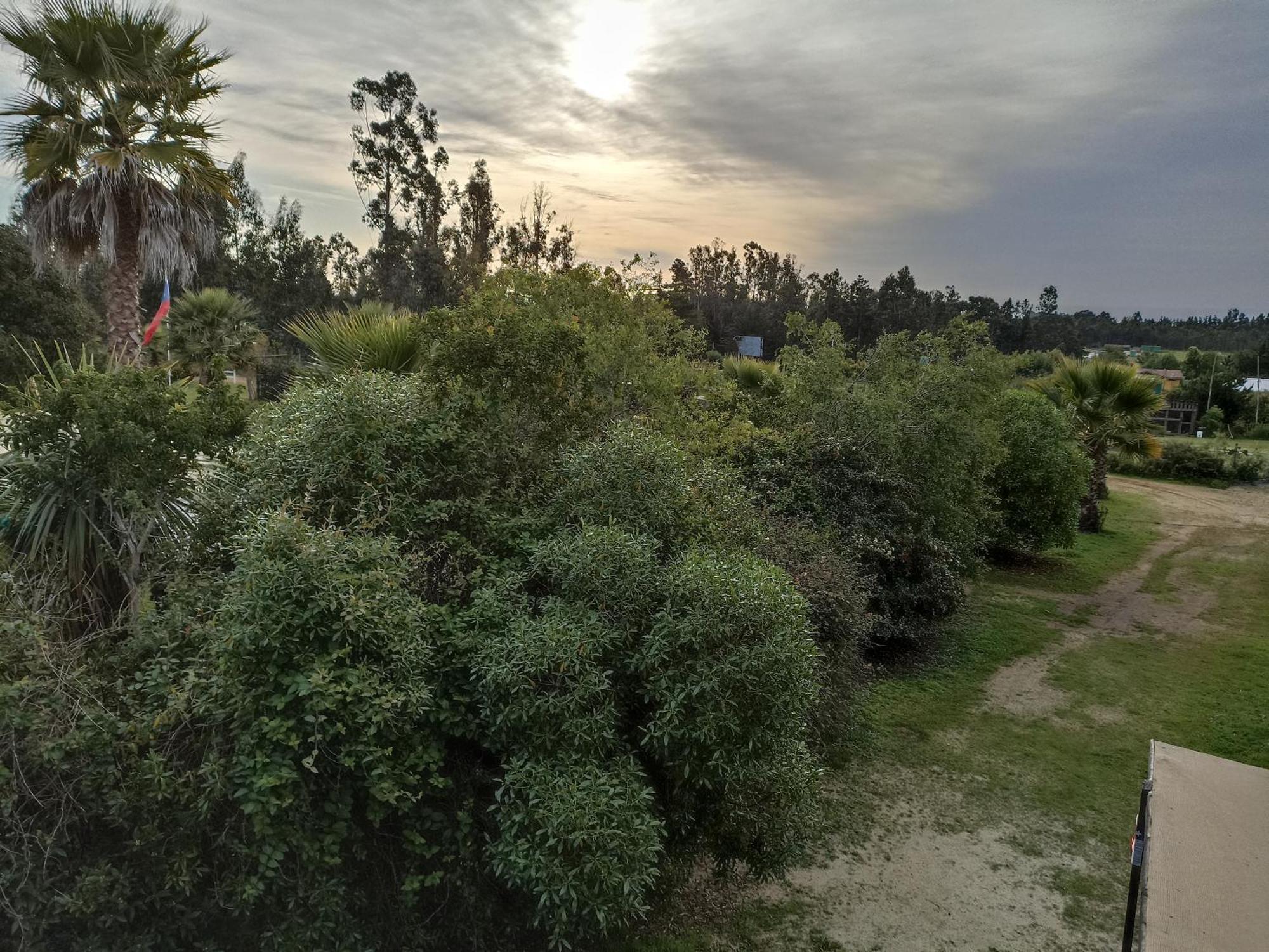 El Algarrobo אלגרובו מראה חיצוני תמונה