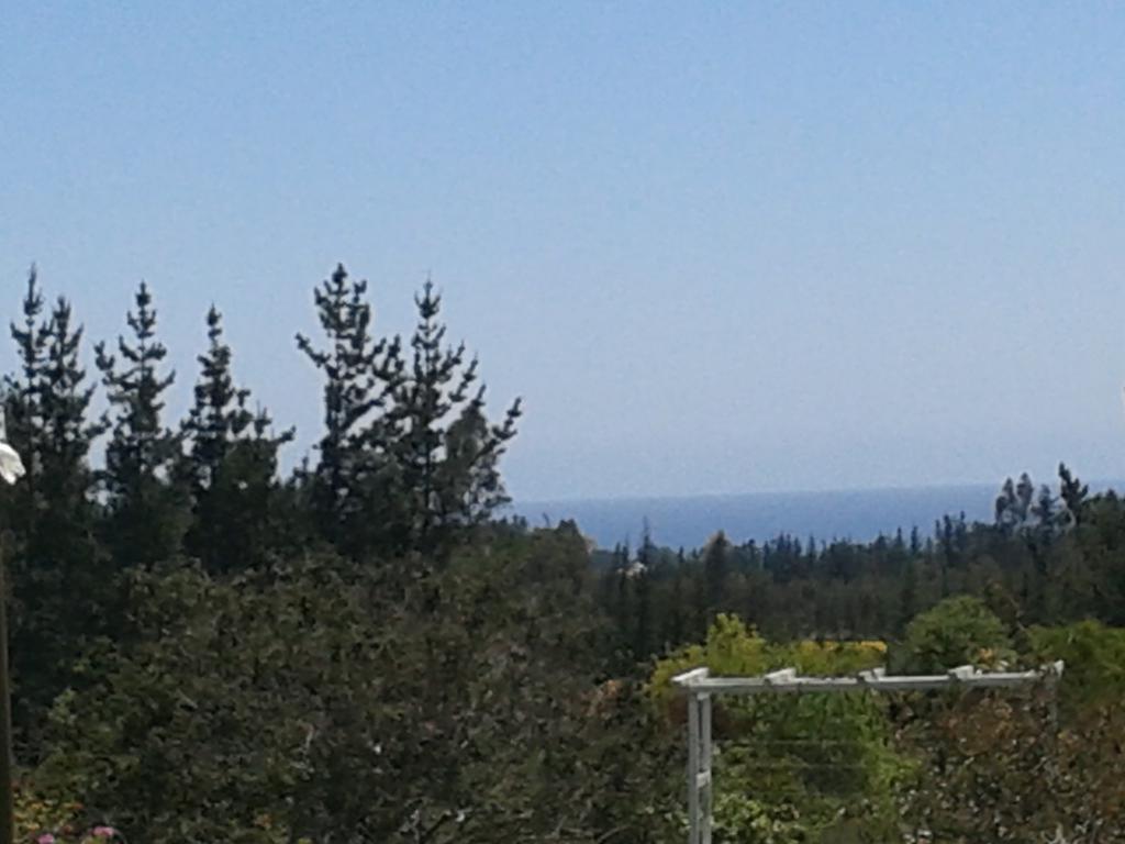 El Algarrobo אלגרובו מראה חיצוני תמונה