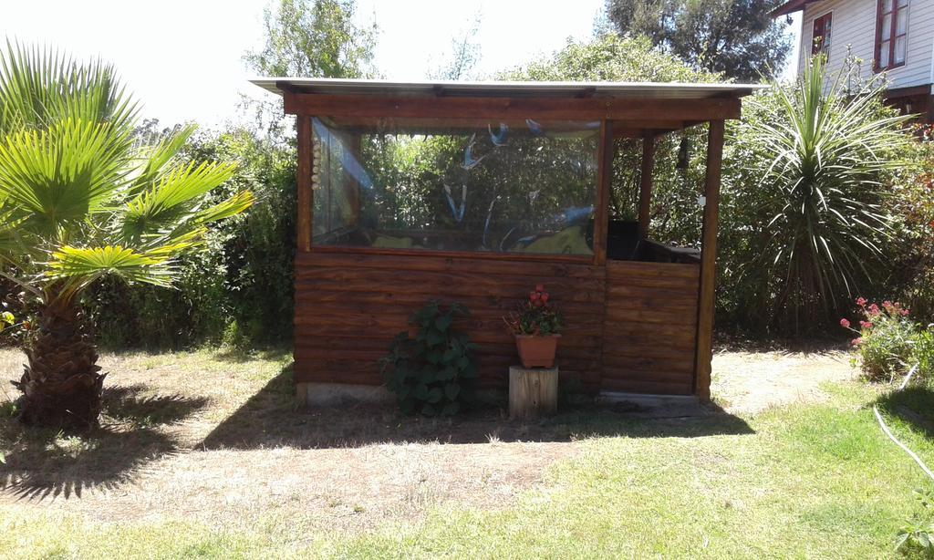 El Algarrobo אלגרובו מראה חיצוני תמונה