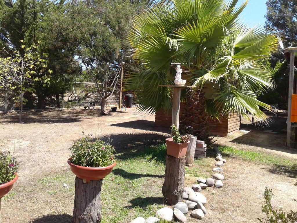 El Algarrobo אלגרובו מראה חיצוני תמונה