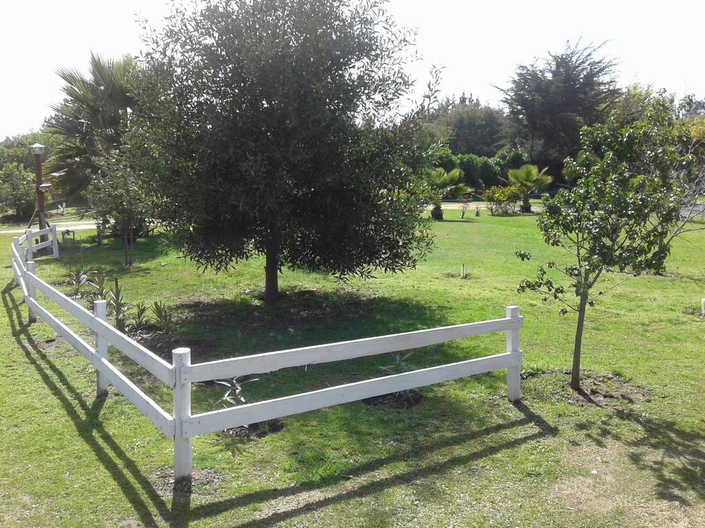 El Algarrobo אלגרובו מראה חיצוני תמונה